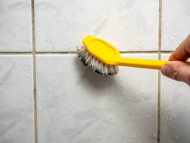 Best Mold Damage Repair  in Morton, WA