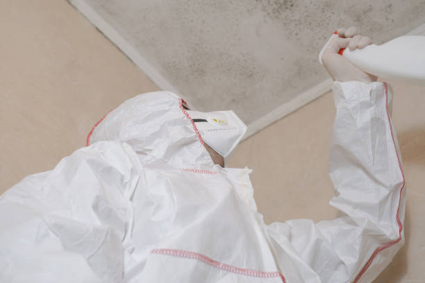 Best Mold Testing  in Morton, WA