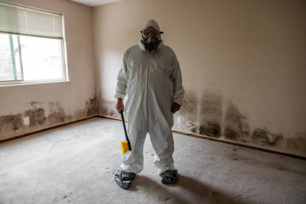 Best Emergency Mold Removal  in Morton, WA
